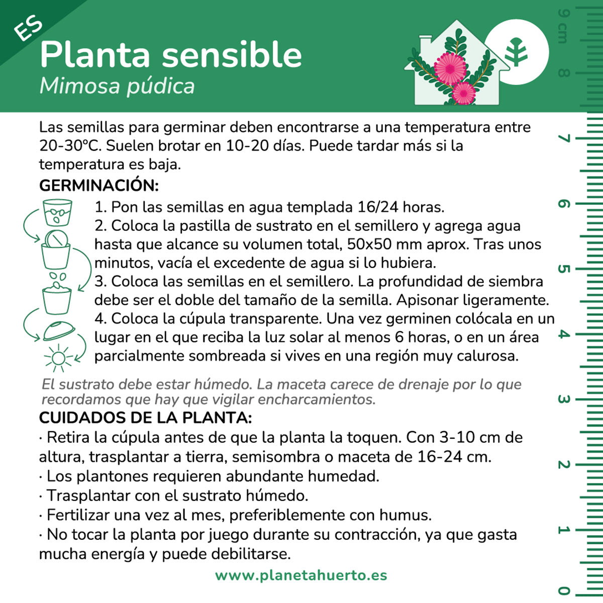 Kit de autocultivo Mimosa Sensitiva Planta Sensible Planeta Huerto