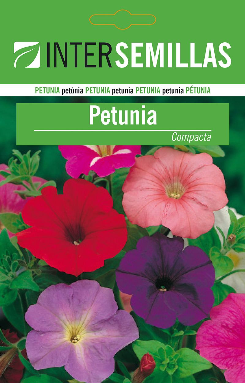 Sobre De Semillas De Petunia_0