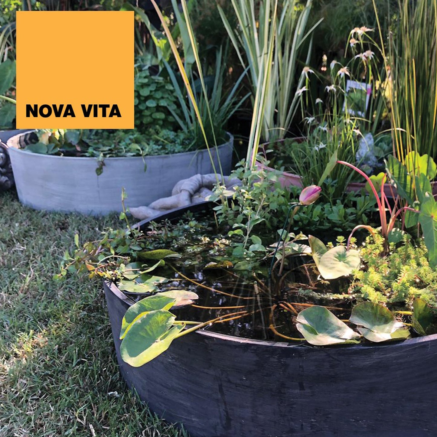 Maceta En Polipropileno En Color Terracota Ø 820mm H 220mm_1