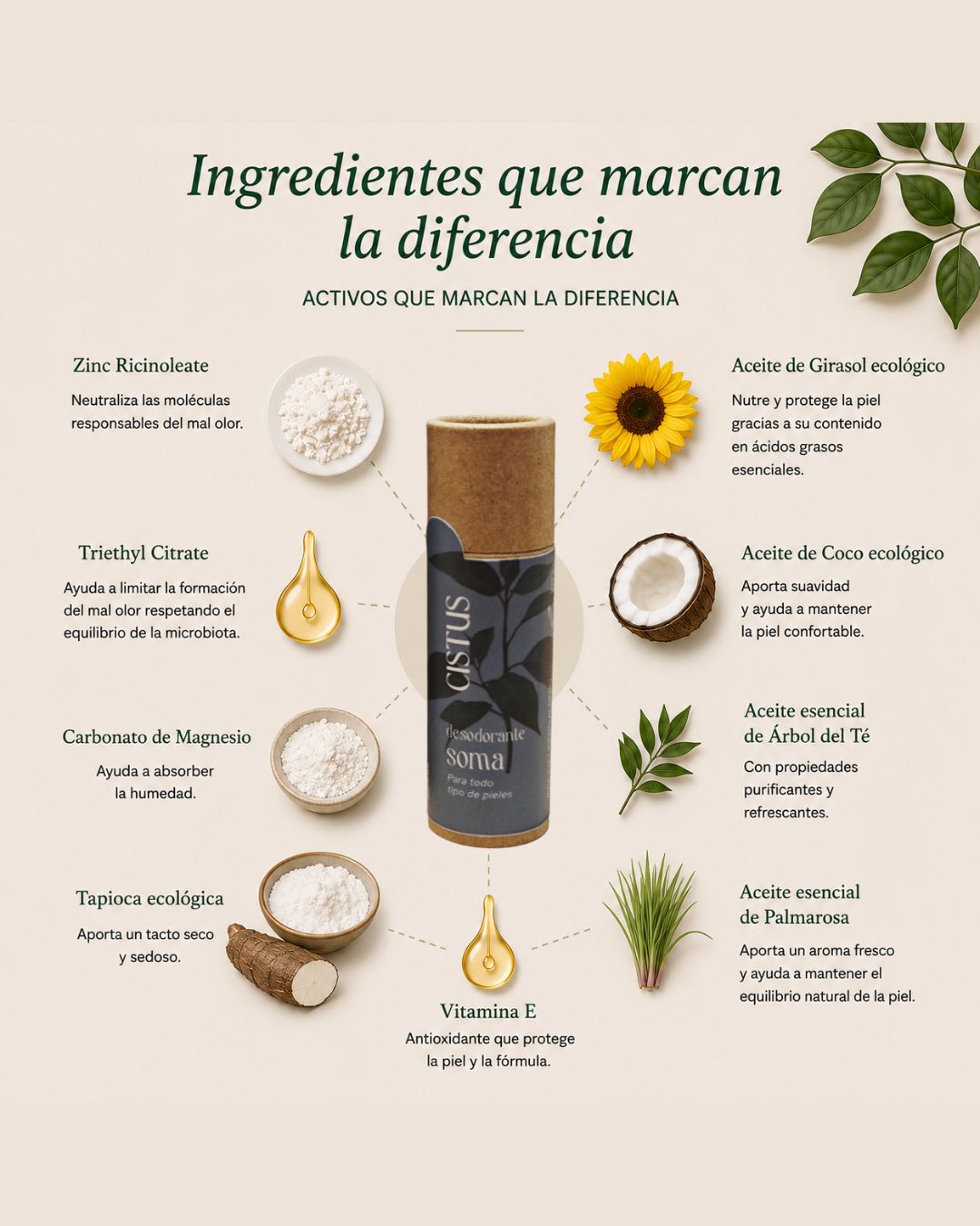 Desodorante sólido natural sin aluminio con árbol del té y palmarosa | SOMA 10 ml_2