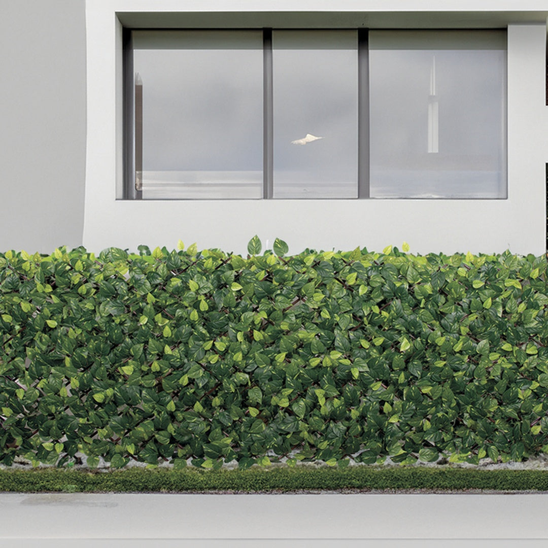 Celosía Extensible Extensy Green 0.9x1.8 M Nortene_4