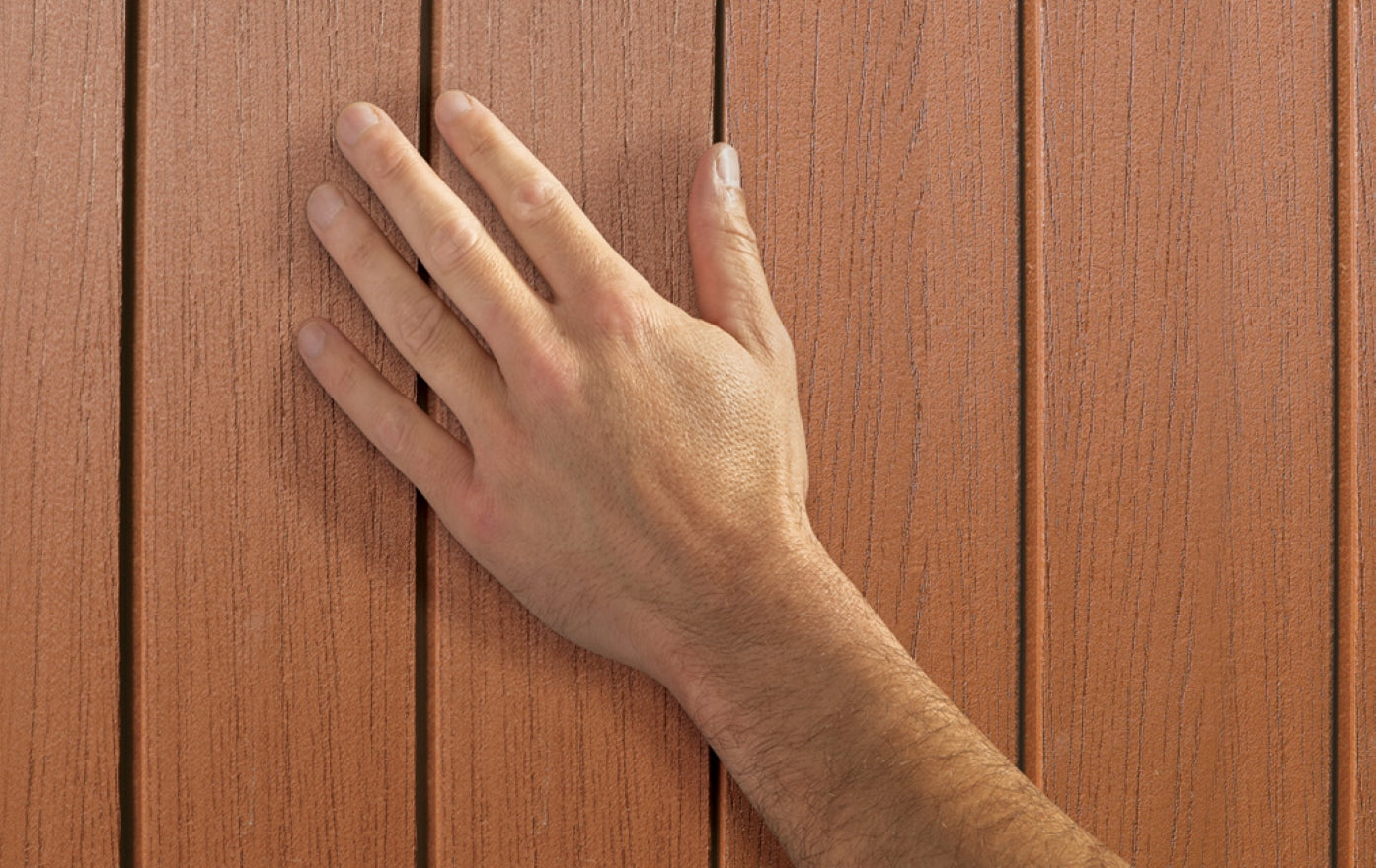 Keter Caseta De Jardín Darwin 6x8 Cobertizo 190x244x221 Wxdxh Cm