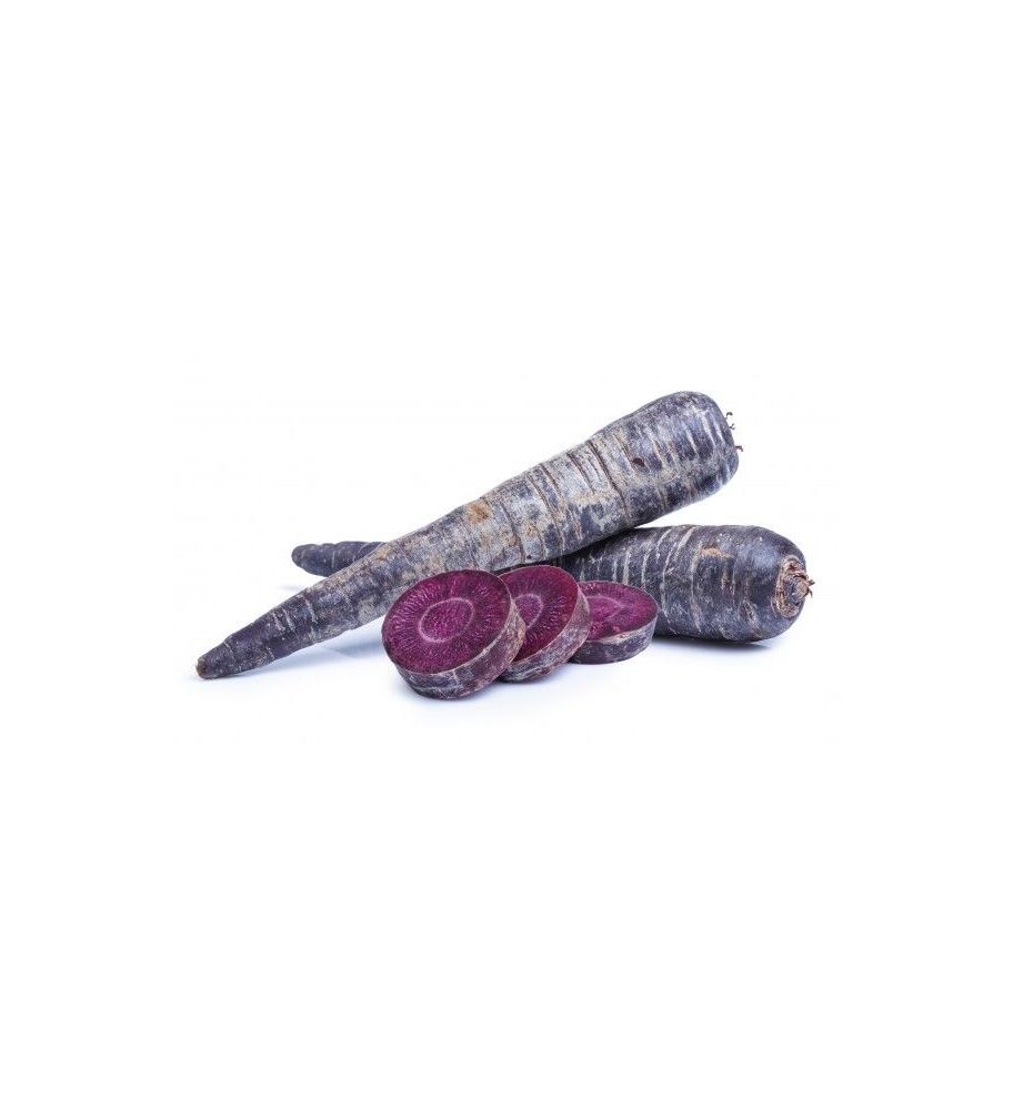 Plantón Zanahoria Morada (10 Unidades)_0