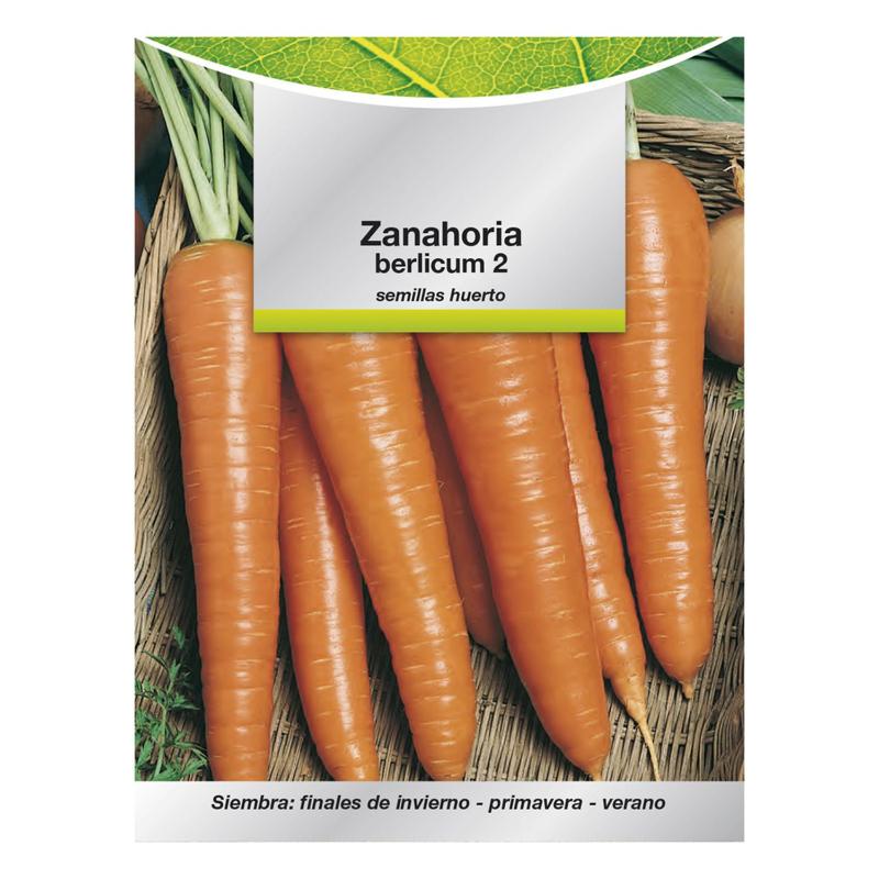 Semillas Huerto Zanahoria Berlicum_0