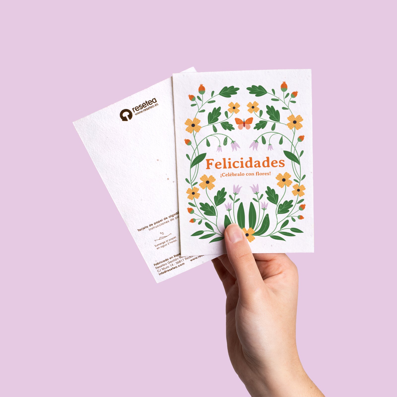 Postal Plantable Felicidades Con Semillas De Flores – Tarjeta Que Florece, Regalo Especial Con Significado | Resetea_3