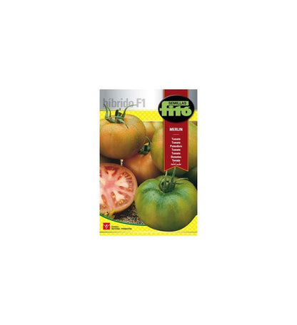 Plantón Tomate Merlín F1 (10 Unidades)_2