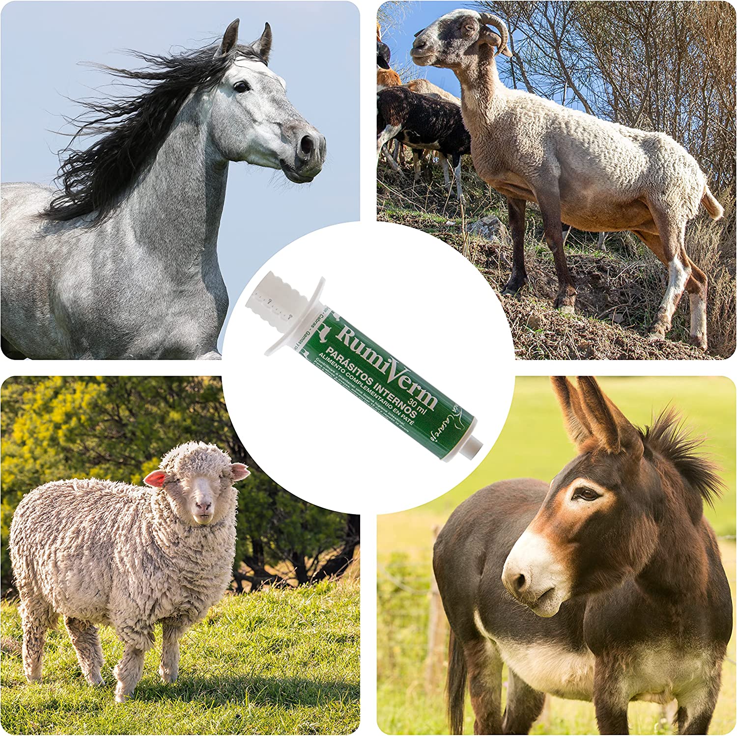 RumiVerm (30ml) - Complemento nutricional en pasta para cabras, ovejas y otros rumiantes – Apoyo digestivo_4
