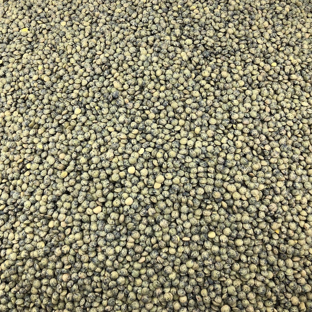 Lenteja Verde Ecológica Granel 25 Kg_2