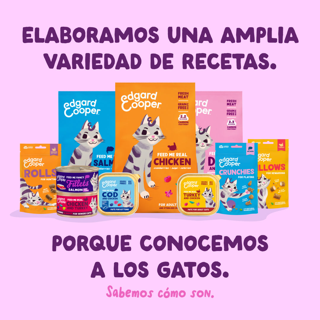 Filetes de salmón y pollo para gatos Edgard & Cooper 70 g