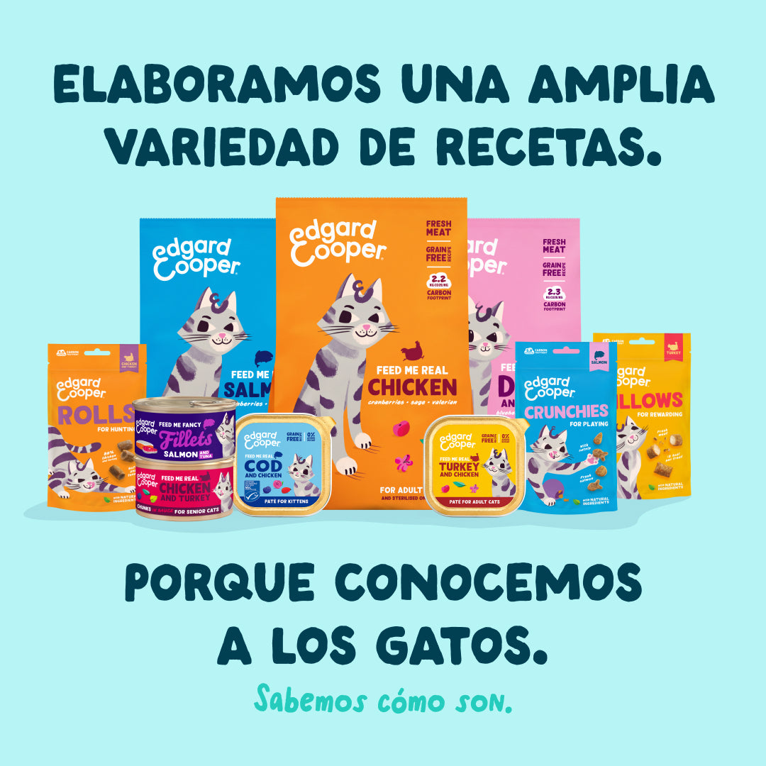 Filetes de atún con gambas para gatos Edgard & Cooper 70 g