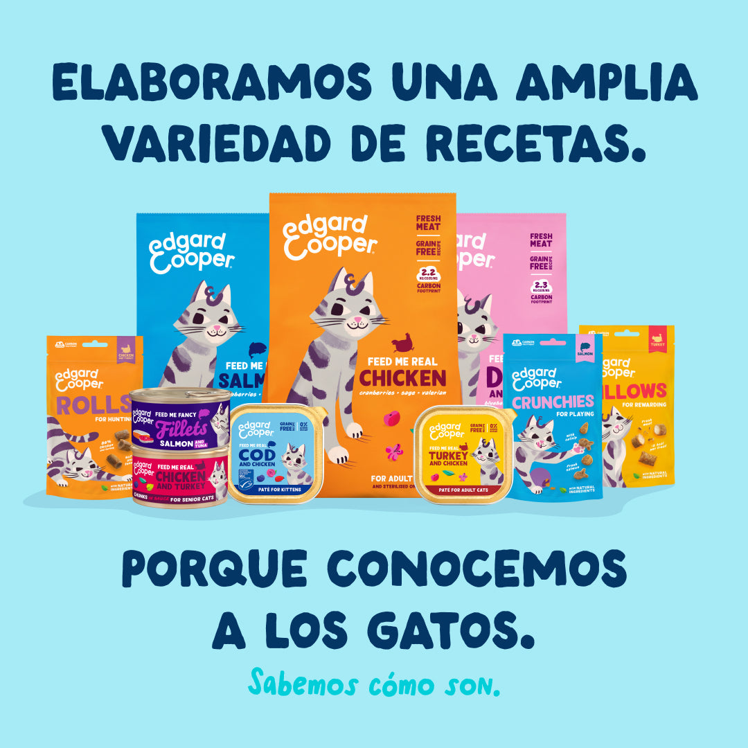 Filetes de atún con calamar para gatos Edgard & Cooper 70 g