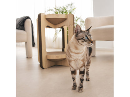 Rascador Torre Para Gatos._4
