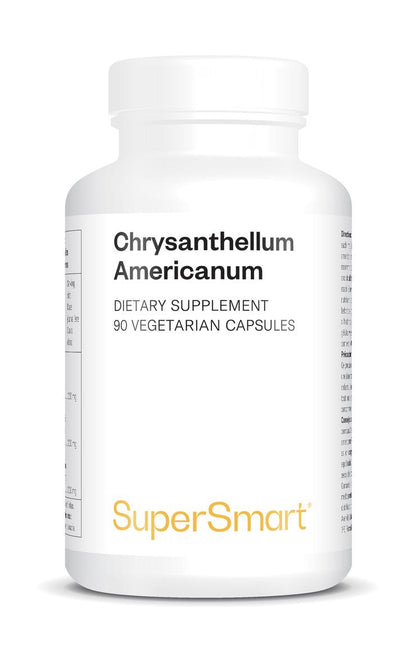 Chrysantellum Americanum_0