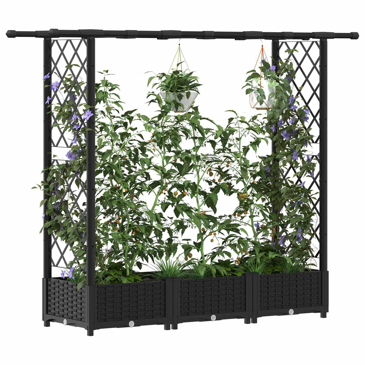Cama Elevada Con Trellis Y Techo Negro 164 X 40 X 121 Cm Pp_2