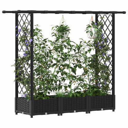 Cama Elevada Con Trellis Y Techo Negro 164 X 40 X 121 Cm Pp_2