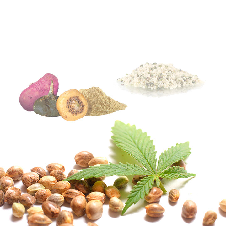 Hemp Macau (cáñamo · Maca · Cacao) Bio - 1kg | Cacao Puro Ecológico Vegano Para Repostería Y Bebidas_3