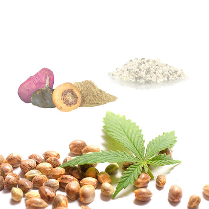 Hemp Macau (cáñamo · Maca · Cacao) Bio - 1kg | Cacao Puro Ecológico Vegano Para Repostería Y Bebidas_3