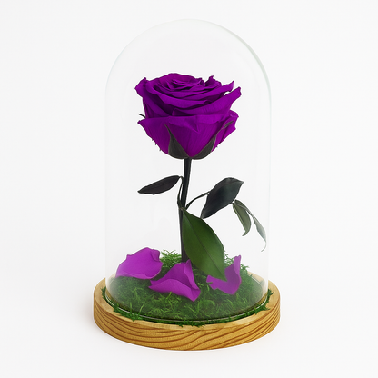 Mundo Eterno Rosa En Cúpula Lila Oscuro 12x20cm