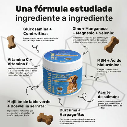 Pack 2x Condroprotector Para Perros. Movilidad Y Articulaciones. Suplementos Mascotas. 240 Masticables. Natuva Pets_2