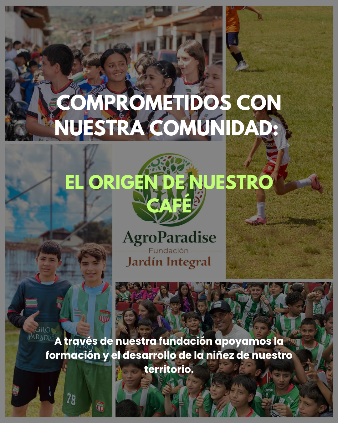 Café de Especialidad Origen Único - Colombia – 100% Arábica – Molido 250g_3