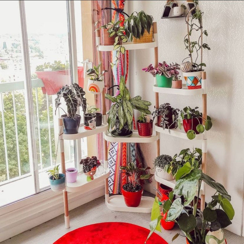 Soporte Modular Citysens De 8 Bandejas Blanco, Con 4 Plantas De Regalo_2