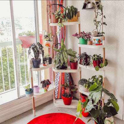 Soporte Modular Citysens De 8 Bandejas Blanco, Con 4 Plantas De Regalo_2