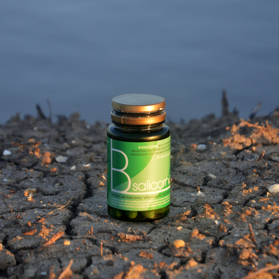 B-salicornia – Extracto Natural De Salicornia Con Vitaminas Del Grupo B