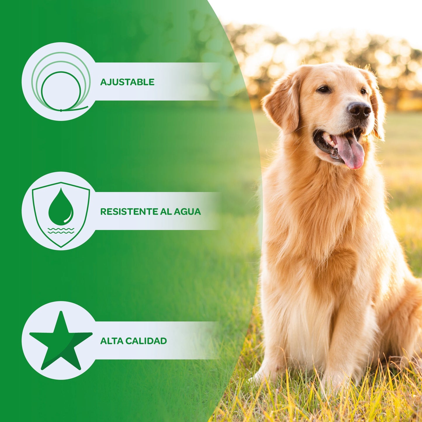 Collar Antiparasitos Para Perro Verde_5