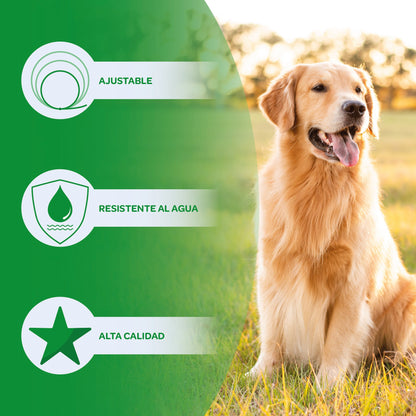 Collar Antiparasitos Para Perro Amarillo_5