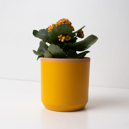 Macetero de Terracota Amarillo Azafrán 13 cm – Hecho a Mano por Artesanos, Maceta Decorativa - Resetea_1