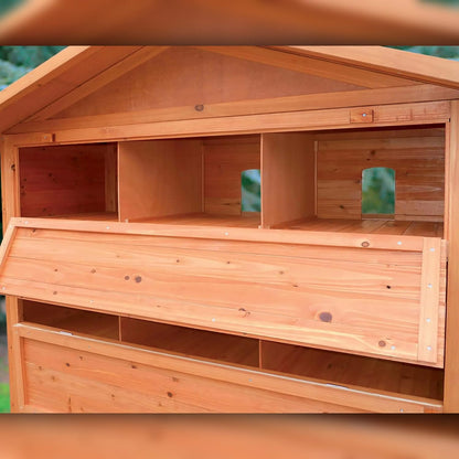 Voladero Para Palomas Bizet_1