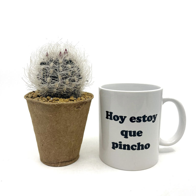 Pack Regalo Día Del Padre Taza Pincho + Planta_2