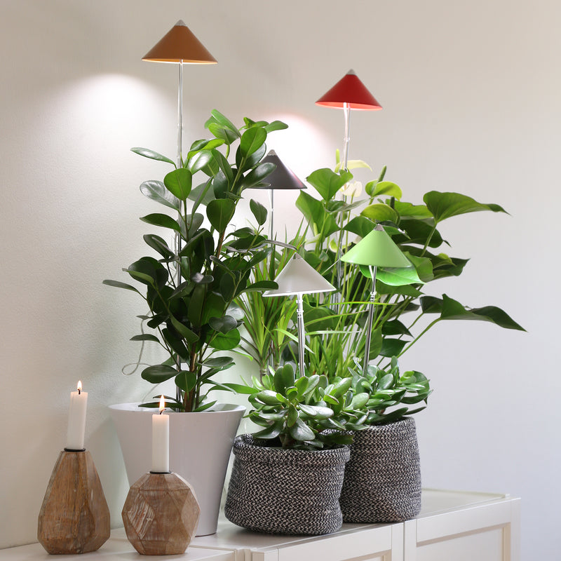 Lámpara Para Plantas Sunlite Cobre.