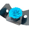 Mundo Eterno Rosmelia Preservada Azul Claro 12cm
