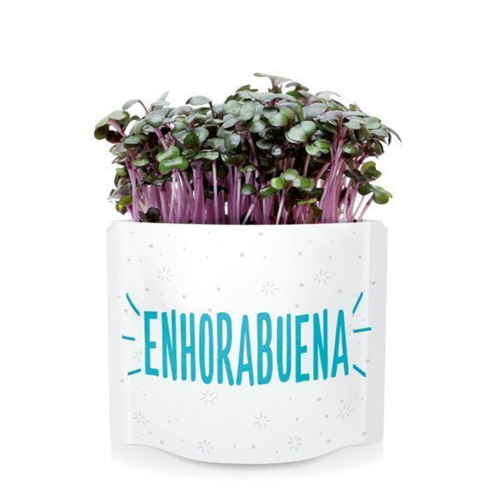 Postales Verdes De Semillas "enhorabuena" Garden Pocket