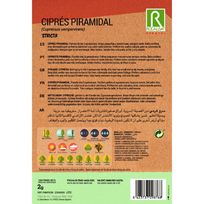 Semillas de Ciprés piramidalis Cipreses sempervire