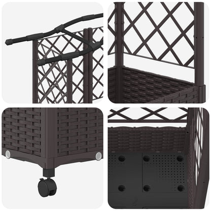 Cama Elevada Con Trellis Y Techo Marrón 124 X 40 X 129 Cm Pp_5