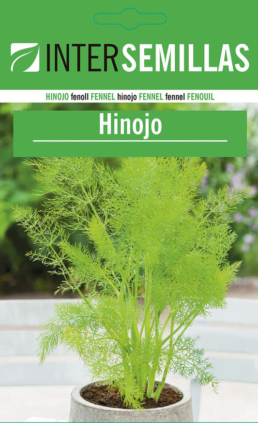 Sobre De Semillas De Hinojo