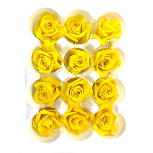 Mundo Eterno Rosas Preservadas Amarillas 12 Unidades 3-4cm