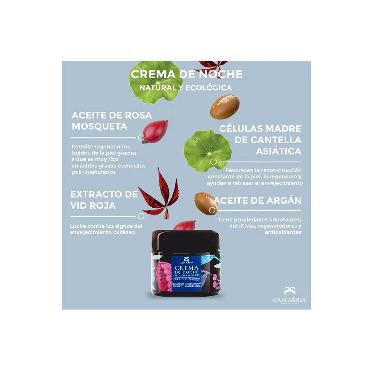 Crema de Noche Natural Antiedad, Camassia