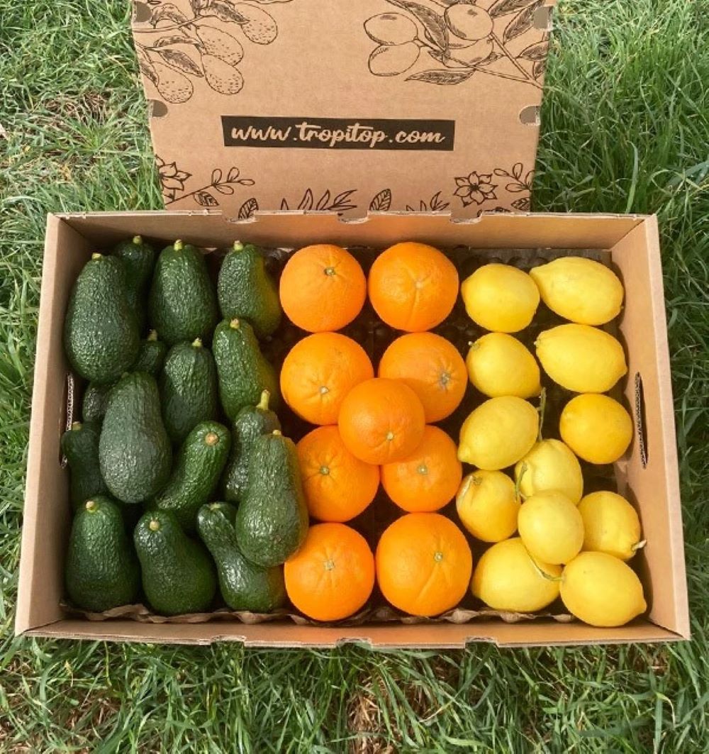 Pack Desayuno: Aguacates Hass, Naranjas Valencianas Y Limones Verna Tropitop 6kg_0
