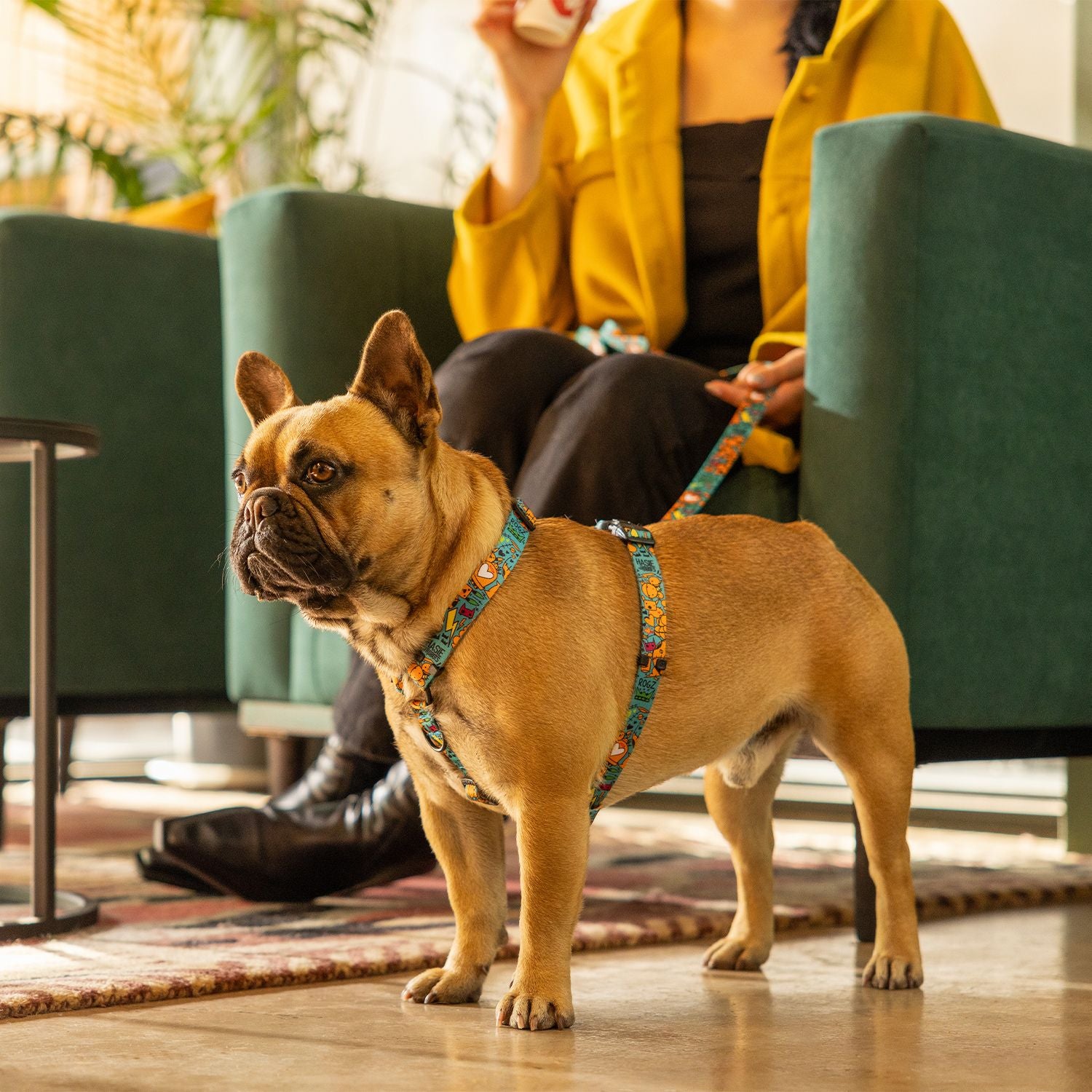 Arnés Para Perro, Modelo Fusion De Rogz, Estampado Graffiti Azules. Talla Xl (39-64kg)_3