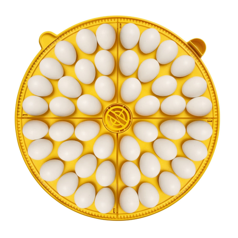 Incubadora Brinsea Maxi 48 Ex - Incubadora Para 48 Huevos De Gallina - Apta Para Diferentes Especies O Tamaños De Huevos_5