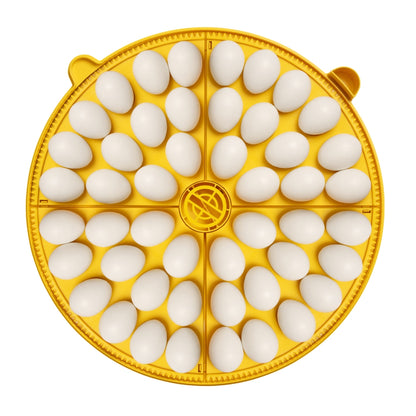 Incubadora Brinsea Maxi 48 Ex - Incubadora Para 48 Huevos De Gallina - Apta Para Diferentes Especies O Tamaños De Huevos_5