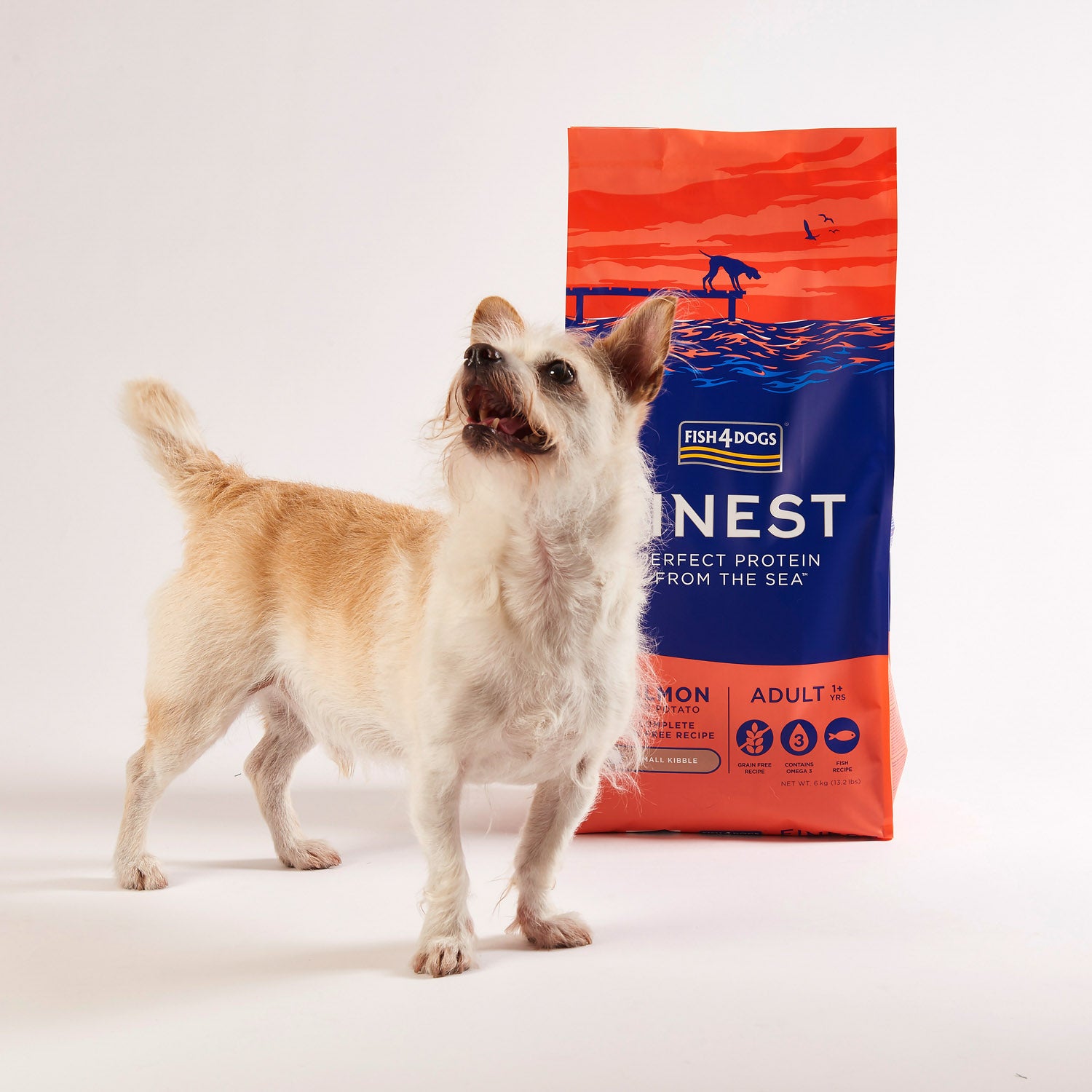 Fish4dogs Pienso Para Perro Adulto Sin Cereales – Salmón Y Patata Razas Pequeñas 6 Kg_5