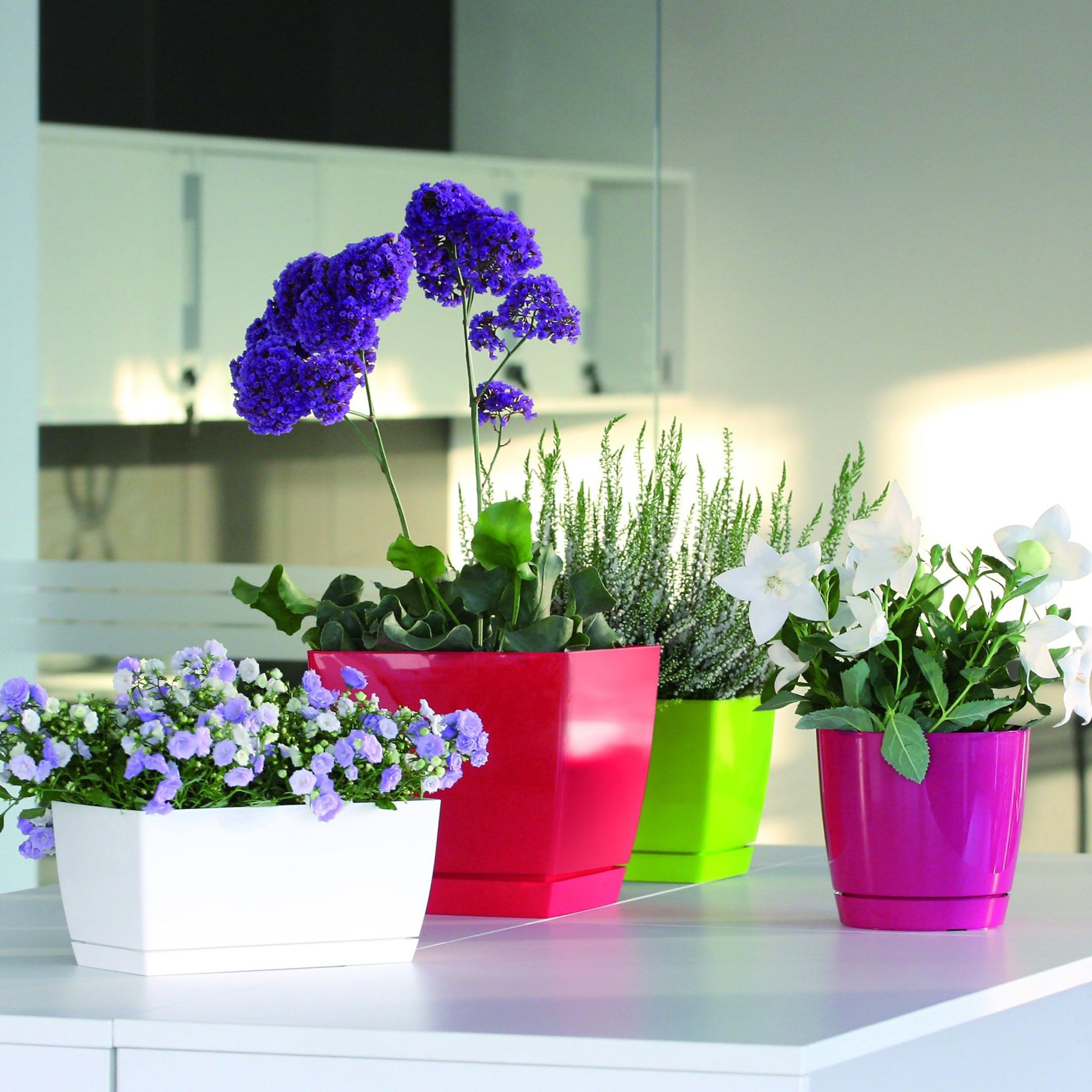 Maceta Mod. Begonya Fresh Quadro Con Plato Incluido 13,5cm. Blanco_2