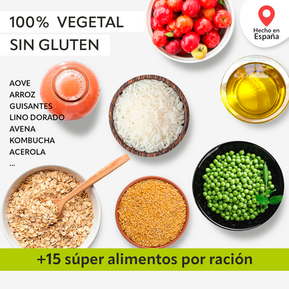 Big Leek · Comida completa en polvo: Nutrición equilibrada en segundos. Mezcla, bebe y sigue con tu día._3