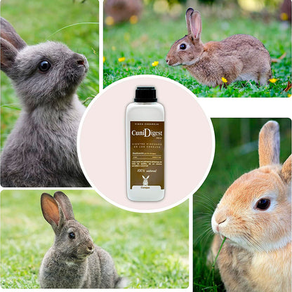 CuniDigest  – Complemento nutricional líquido (250ml) para conejos – Apoyo digestivo en periodos sensibles_3