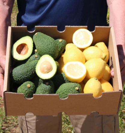 Mix Limones Verna Y Aguacates Hass De Temporada Tropitop 4kg_0
