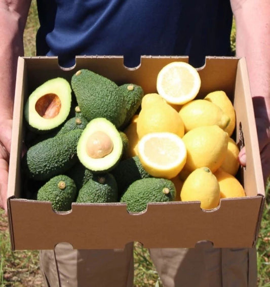 Mix Limones Verna Y Aguacates Hass De Temporada Tropitop 4kg_0